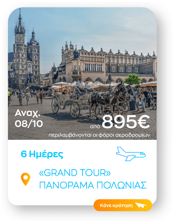 panorama polonias sinopsi_1