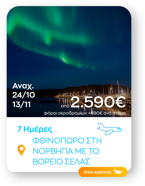 norvigia sinopsi_1
